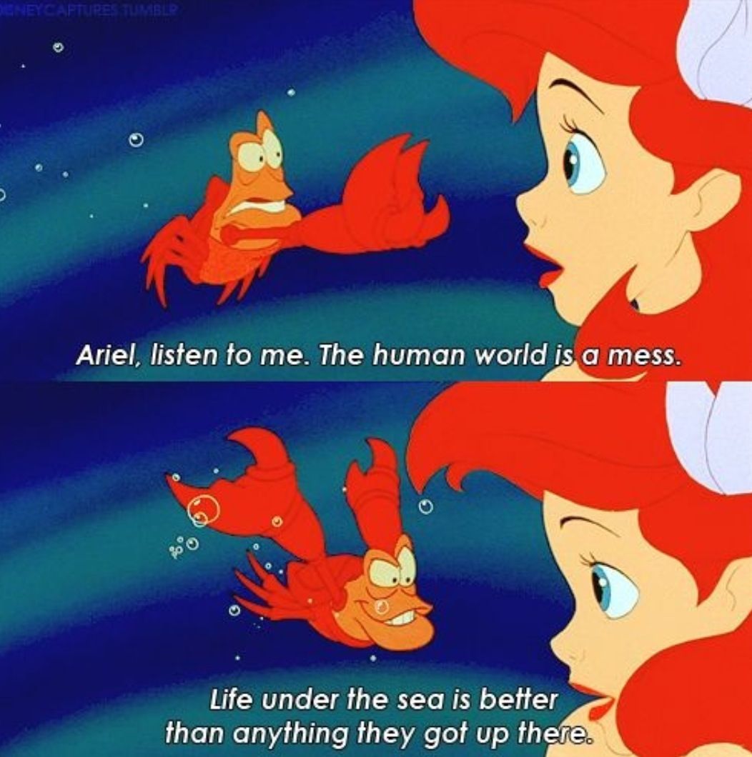 Sebastian Disney Quotes