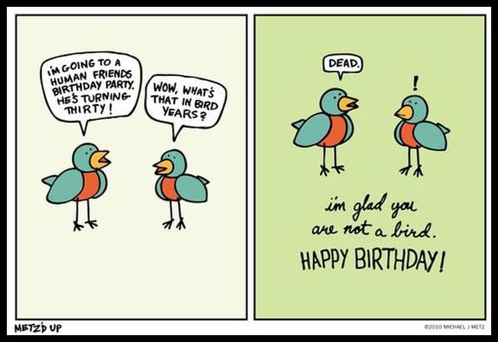 Jokes Funny 30th Birthday Quotes