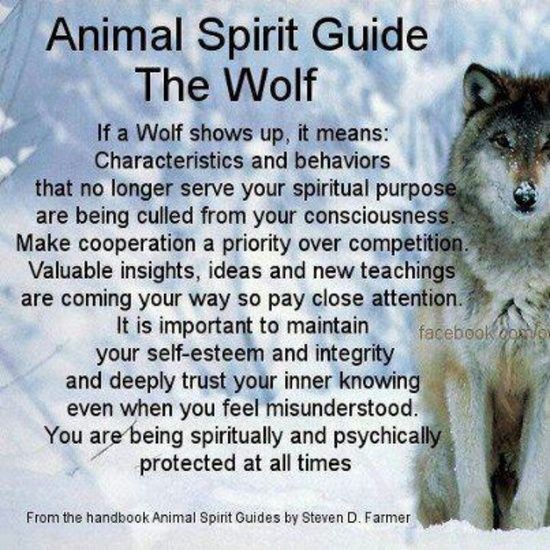 White+Spirit+Wolves+poems | Found on Uploaded by user Animal Spirit ...