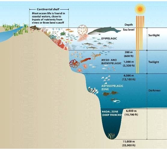 Map Of Ocean Zones