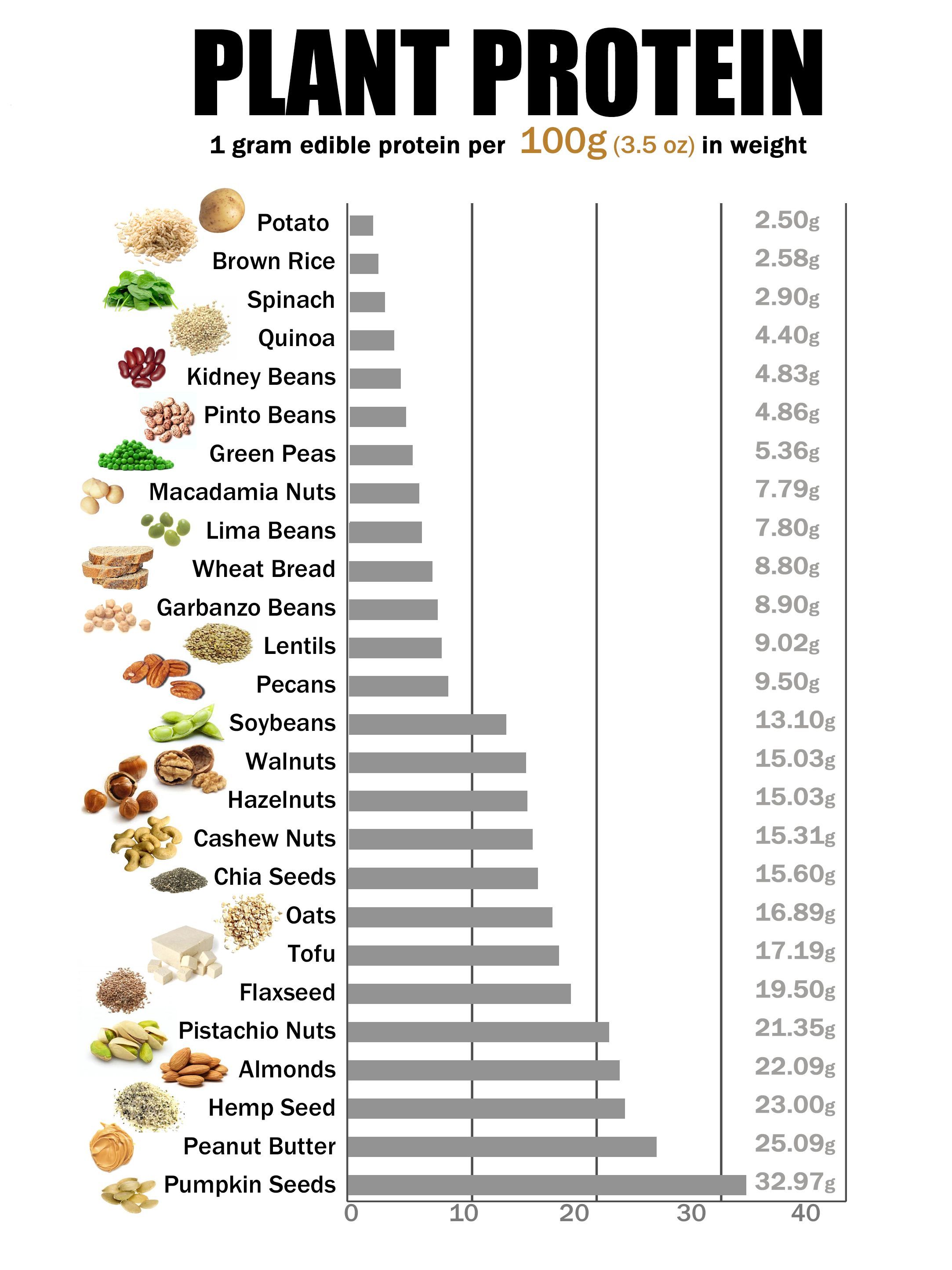 Grams Of Protein Chart