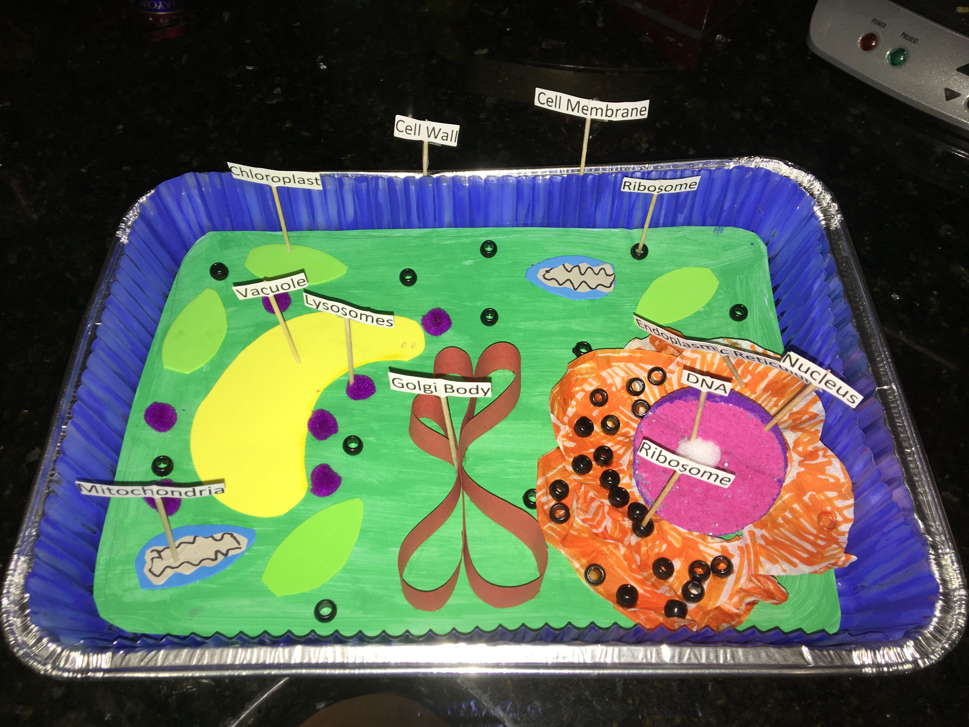 17+ 3D Plant Cell Project - NnaemekaAntoni