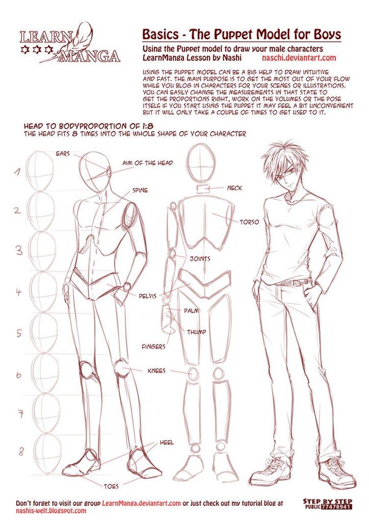 anime / manga male body | Anime drawings tutorials, Anatomy sketches ...