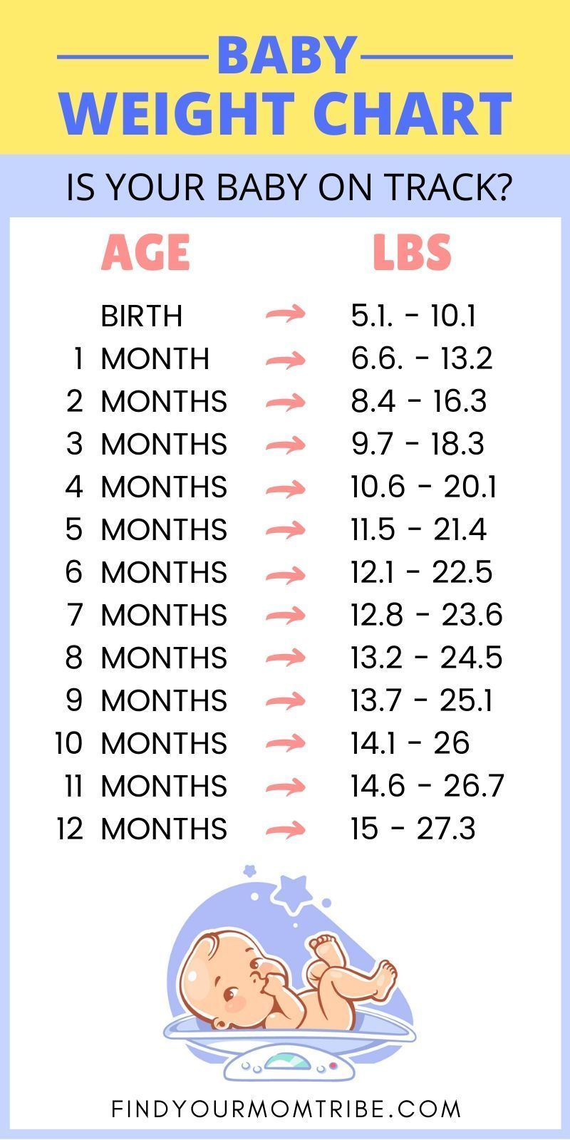 Ranking the 11 best baby scales of 2022 to track babies growth – Artofit