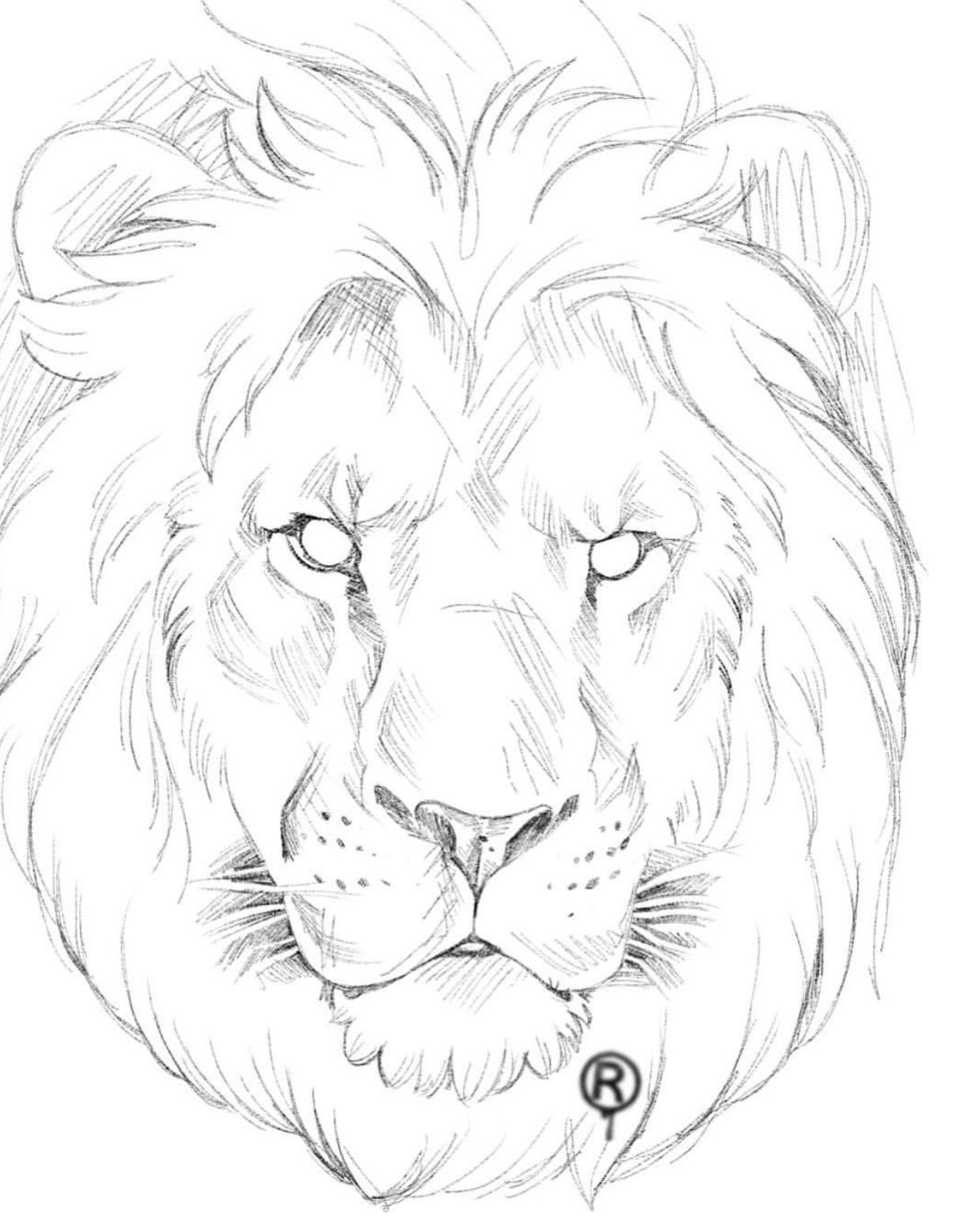 Pin by inkk_by_Gee on Dude tatts | Lion sketch, Art drawings sketches