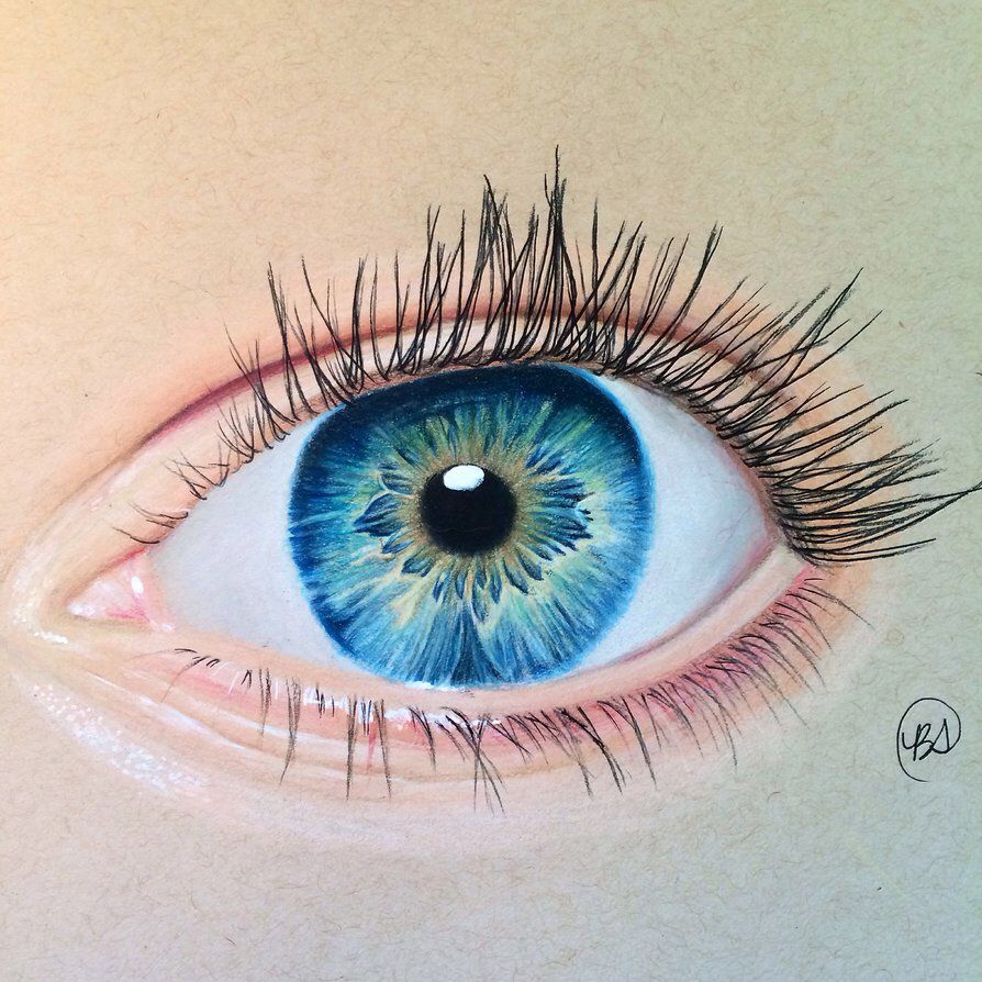 Macro Eye | Realistic eye drawings, Eyes drawings, Drawings on tan paper