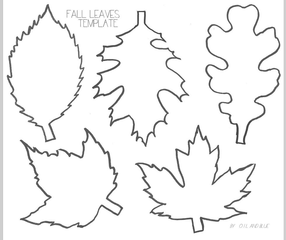 Leaf template, Leaf template printable, Fall leaves coloring pages