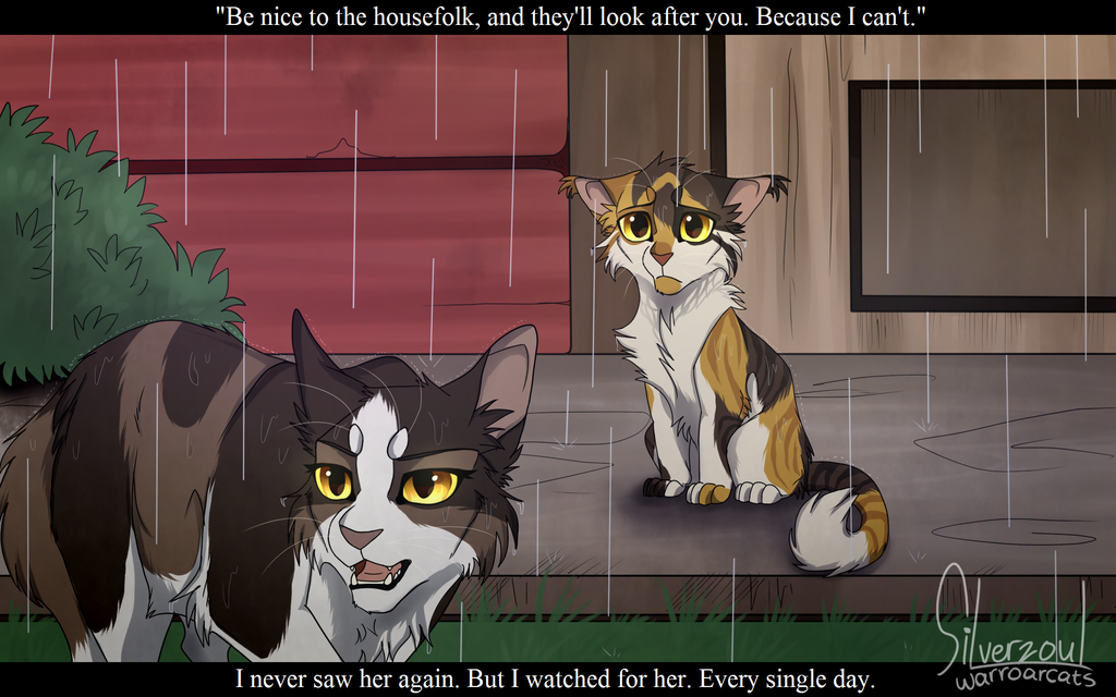 Sad Warrior Cats