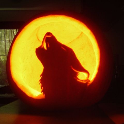 Howling Wolf Pumpkin | Pumpkin carving, Creative pumpkin carving ...