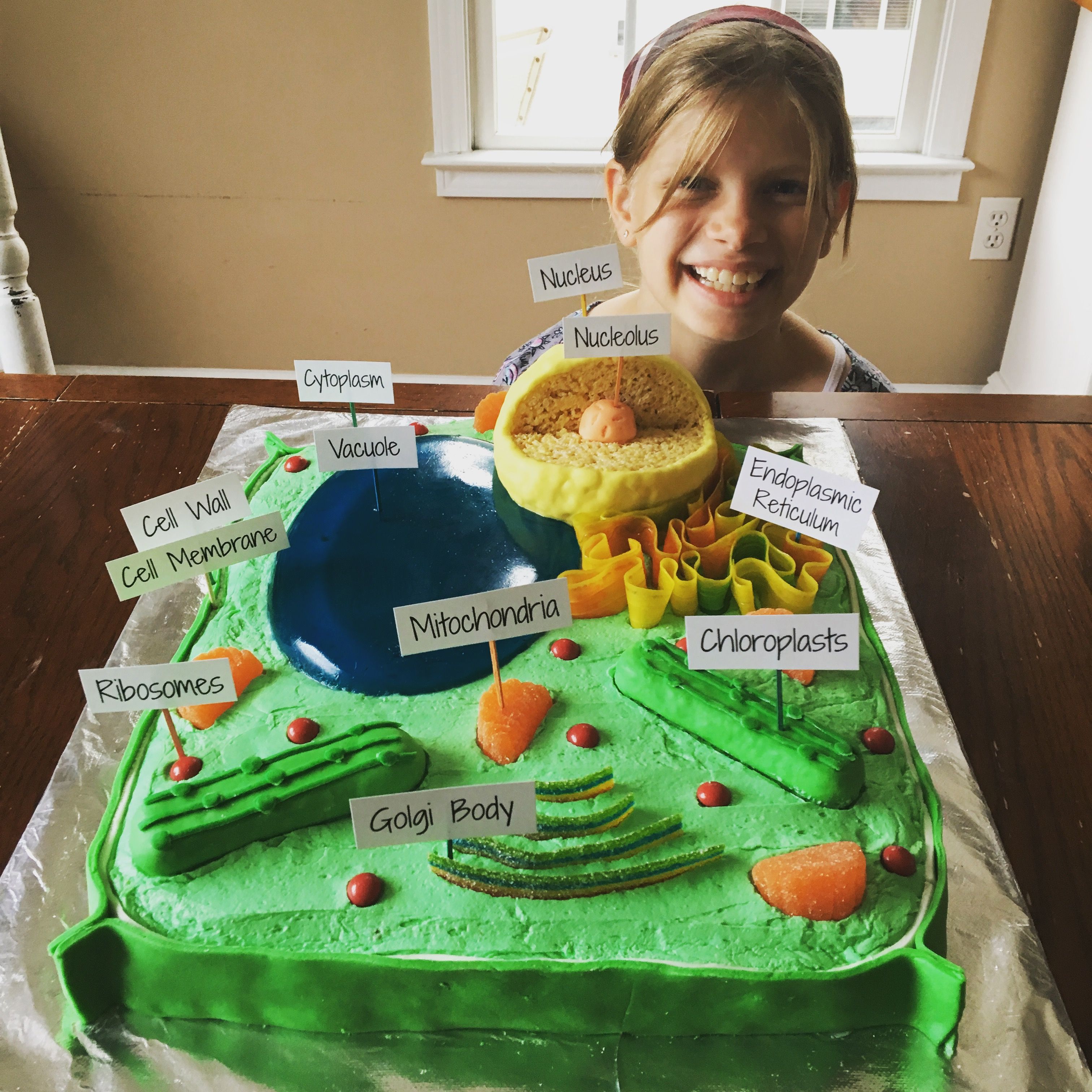 Edible Plant Cell Model Project