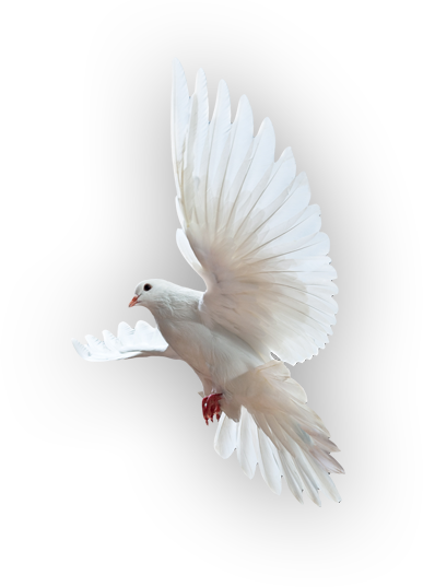 Holy spirit images – Artofit