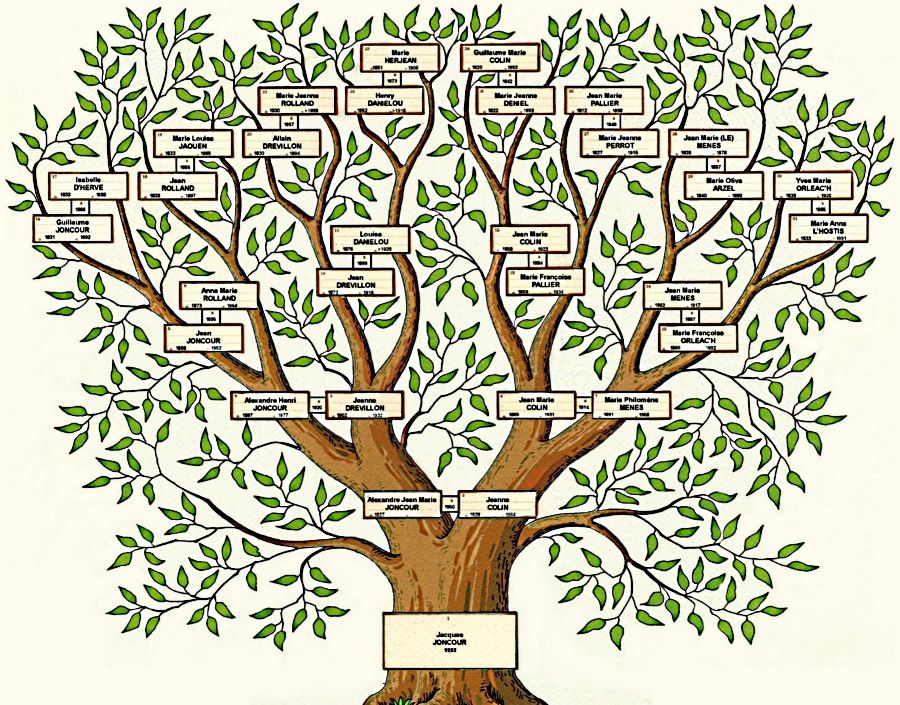 Free family tree template pdf excel word google doc – Artofit