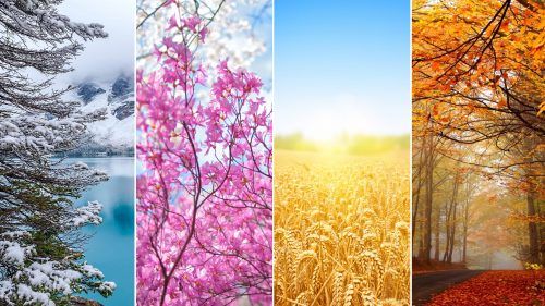 Free Picture of 4 seasons wallpaper in 4K resolution Different Seasons ...