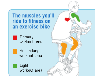 The Argos guide to exercise bikes - D1b621b0Dff8c2691f0153b77c50b915