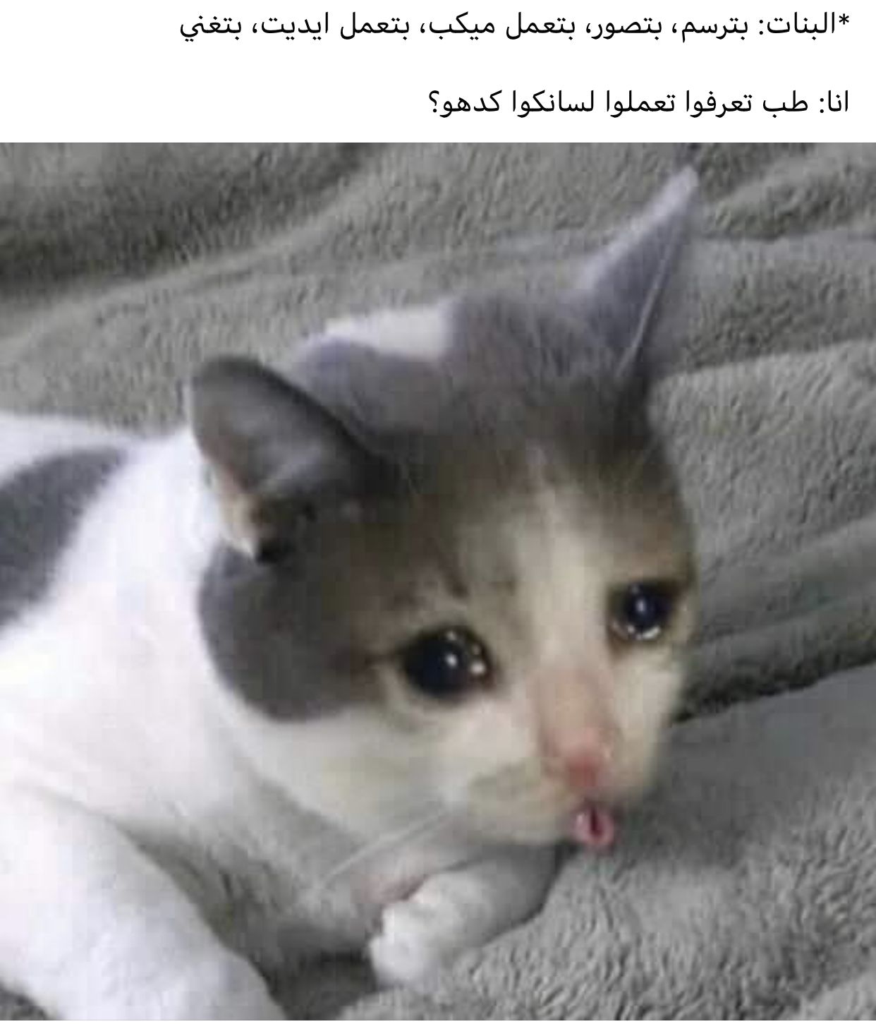 Baby Cat Crying Meme