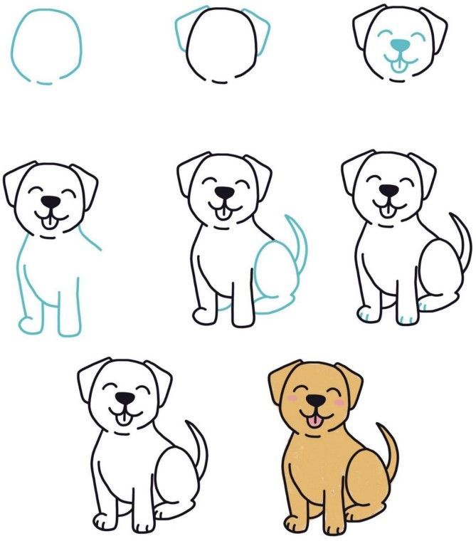 How to draw a dog – Artofit