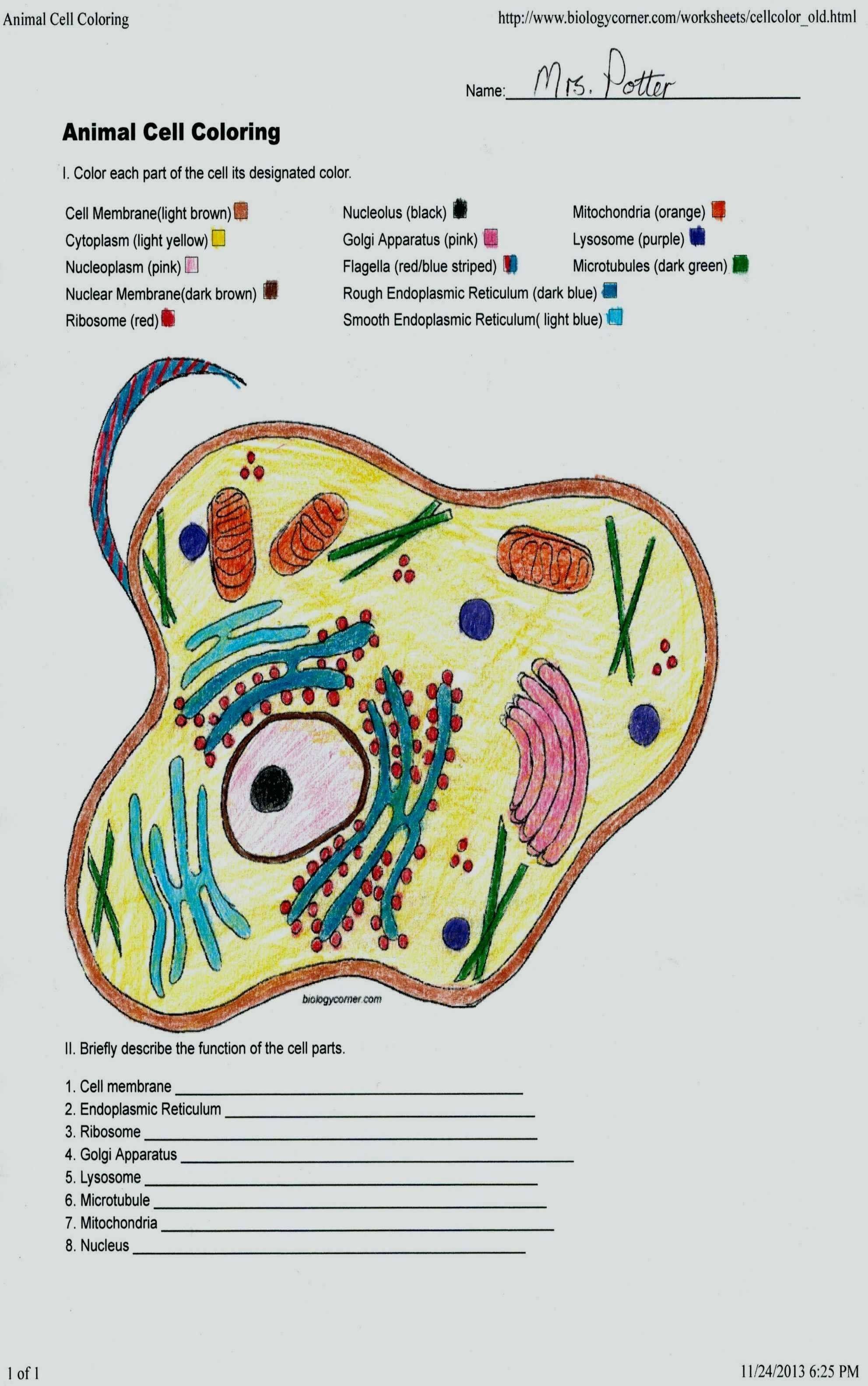 Animal Cell Label Worksheet