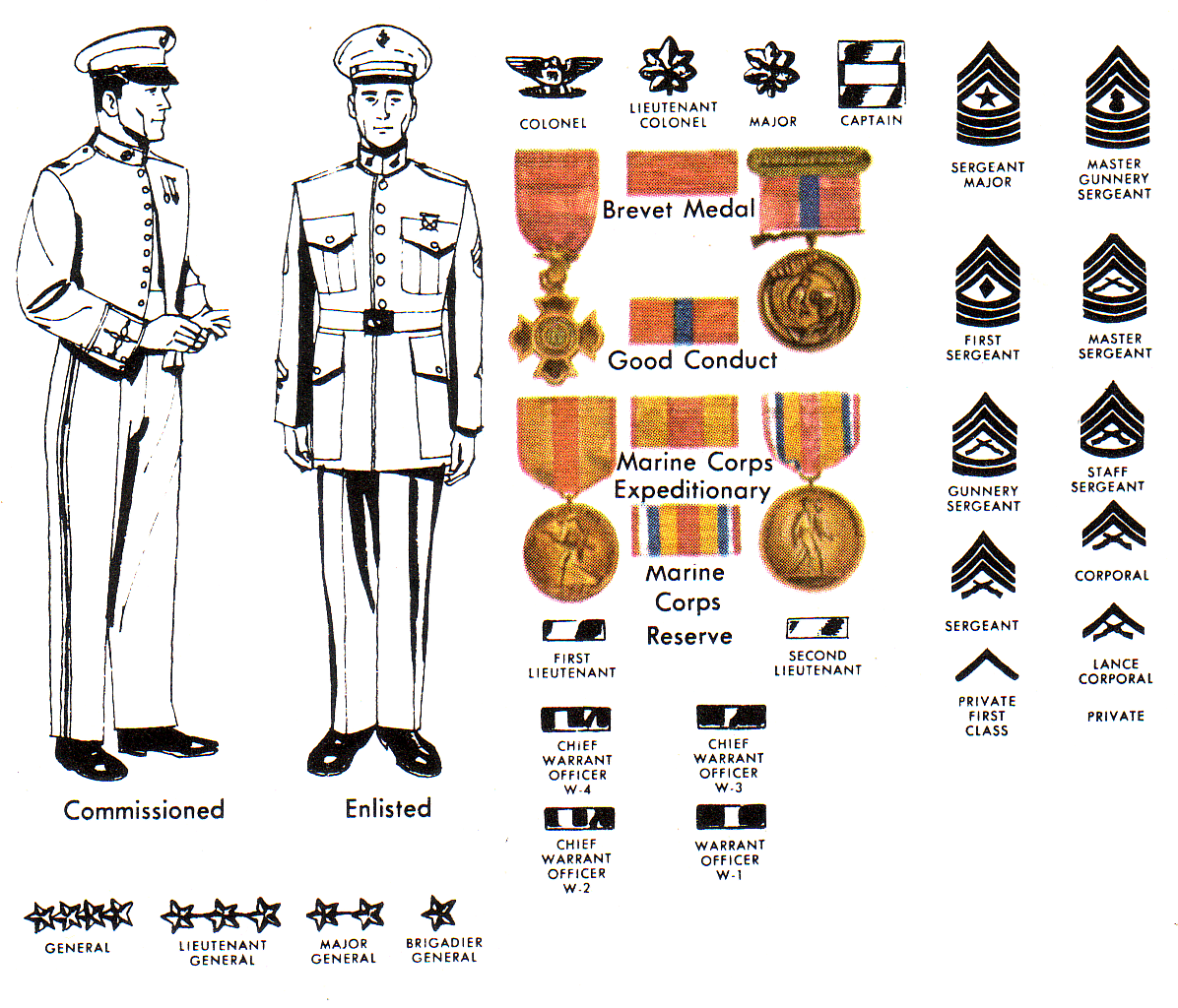 Marine Nco Ranks Usmc Enlisted Rank Structure Know Th - vrogue.co