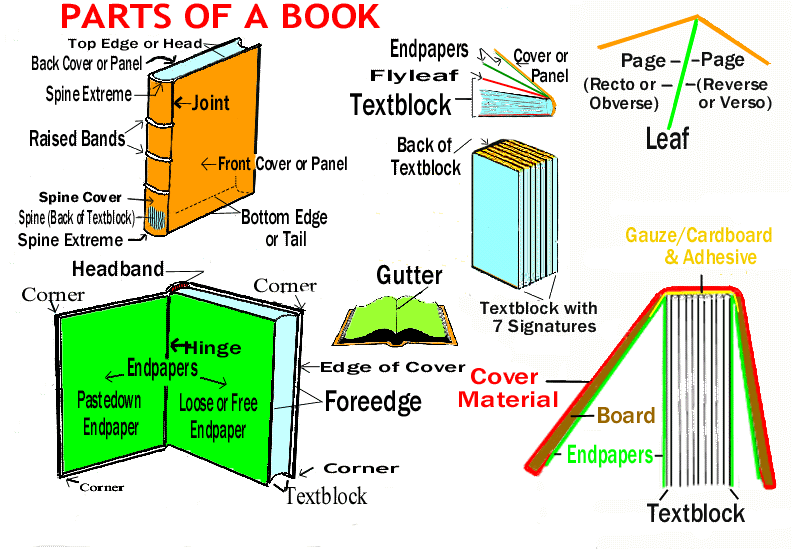 Book Parts | Book repair, Parts of a book, Book care