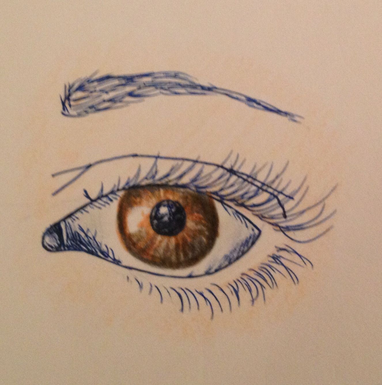 An ink eye with colored pencil Colored Pencils, Artsy, Ink, Eyes ...