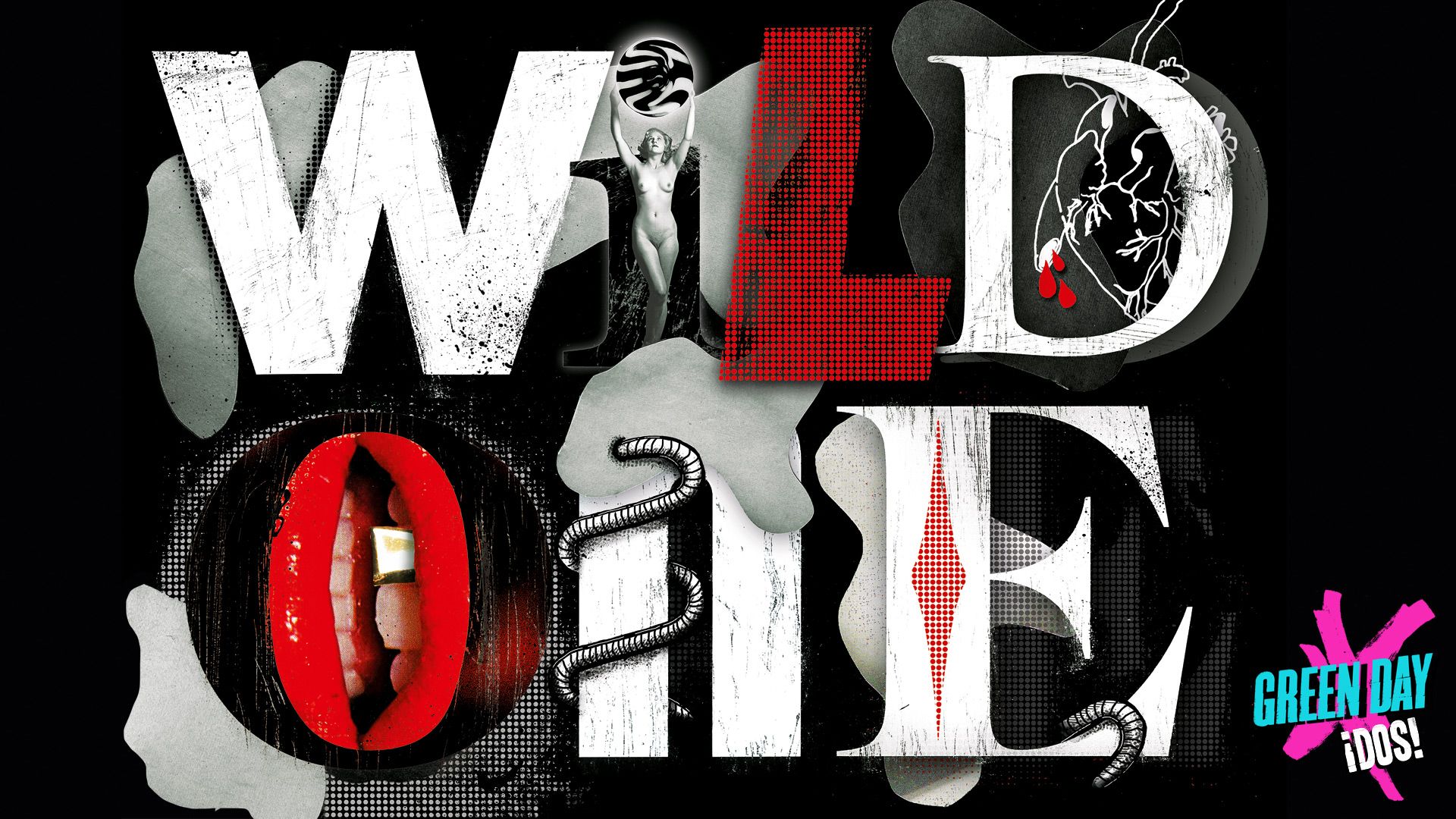 Wild One - An Artistic Image