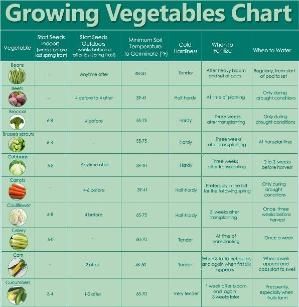 Solid Food Chart for Babies Aged 4 months through 12 months - Find age ...