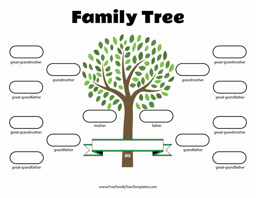 Family Tree Template with Siblings Unique 4 Generation Family Tree ...