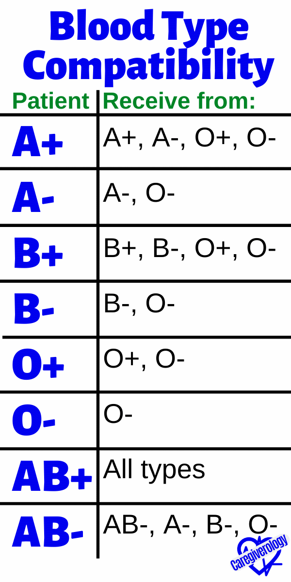 Blood types what you need to know – Artofit