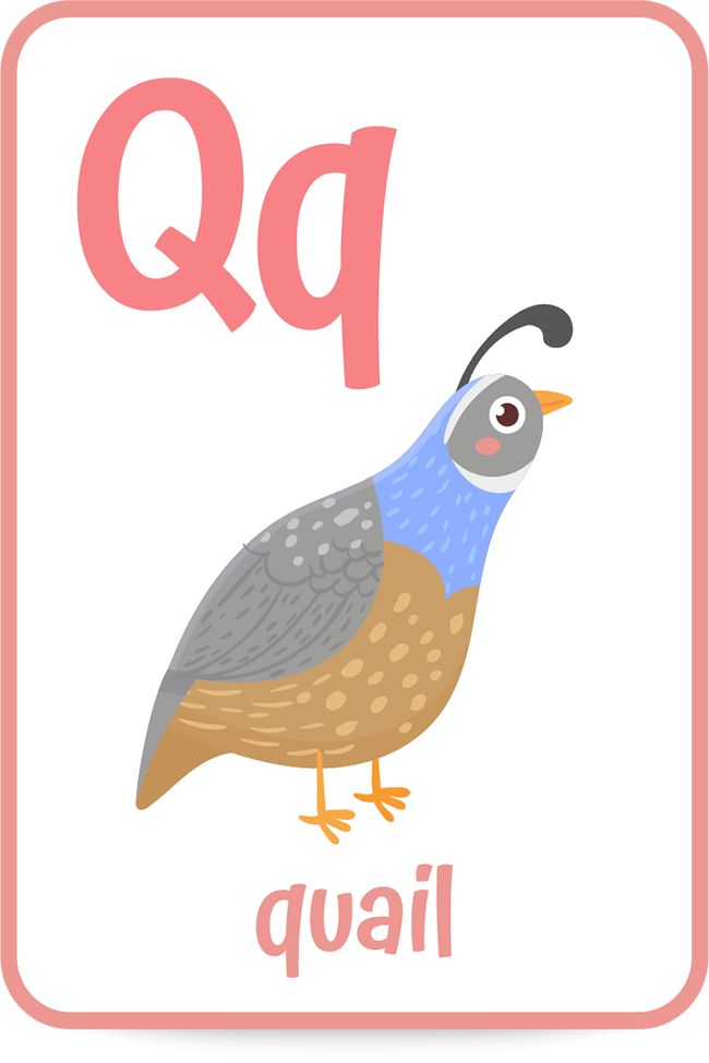 Words That Start with the Letter Q | Preschool letters, Words with q ...