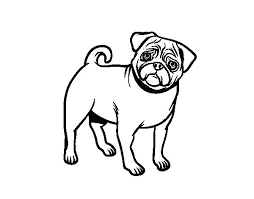 Resultado de imagen para perros pug para dibujar | Dog coloring page ...