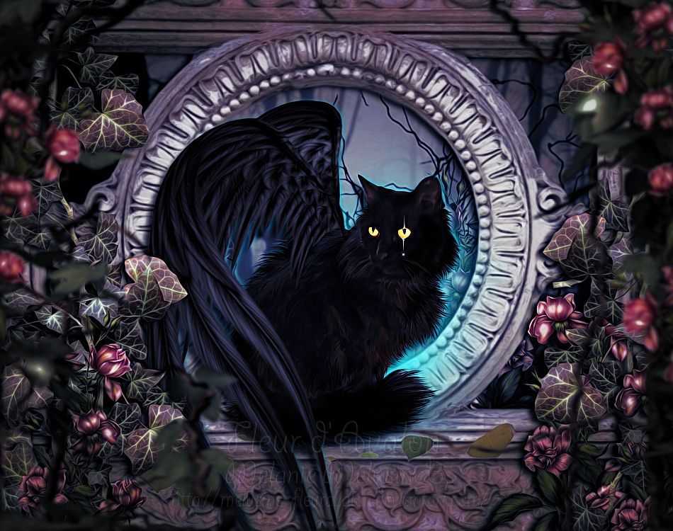 Mystic Cat by feanen-lazuli on DeviantArt | Black cat art, Cat art, Cat ...