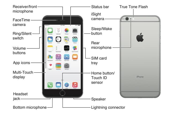 Image result for iphone 6 buttons diagram | Iphone, Iphone 6, Multi touch