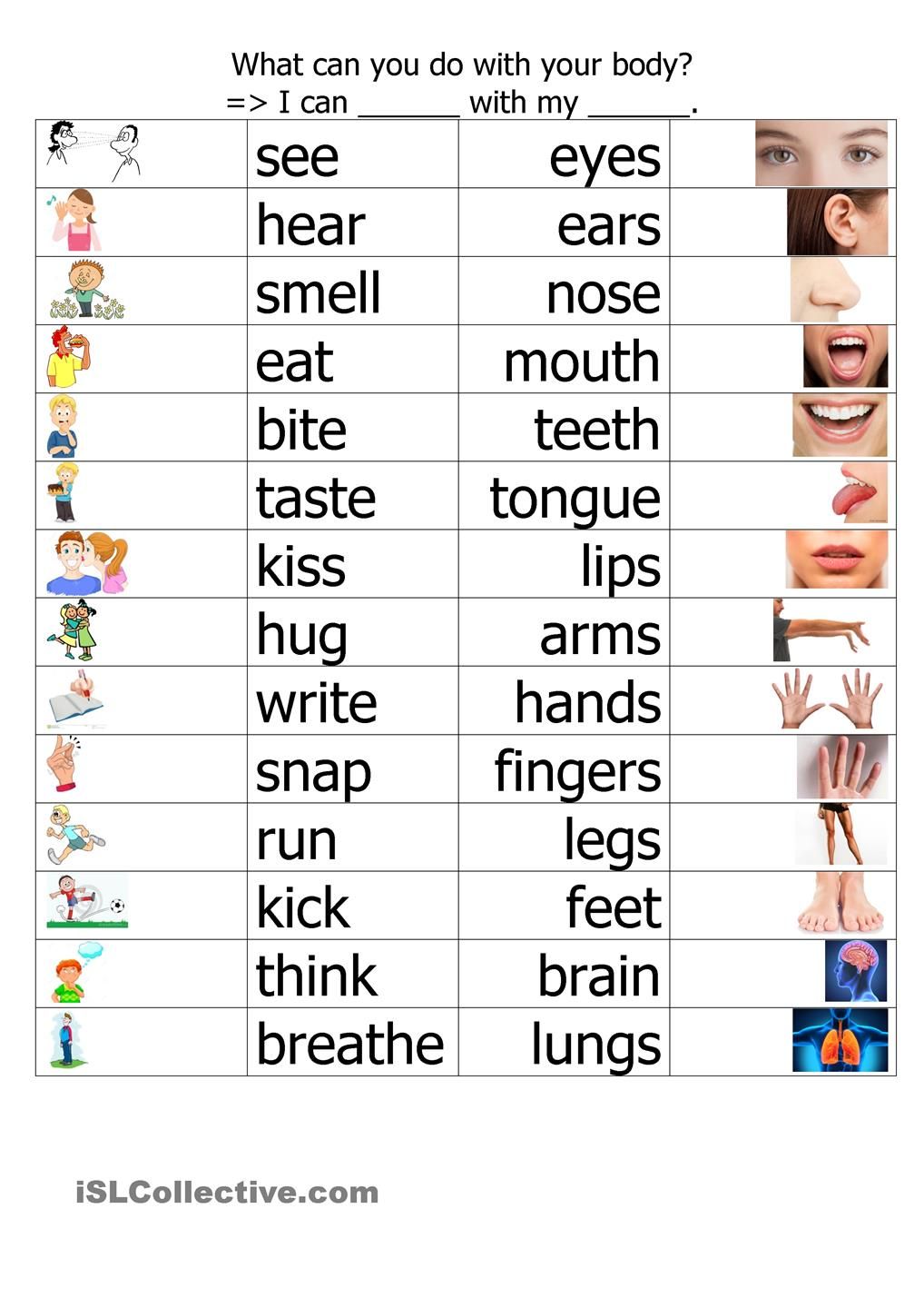 English Vocabulary For Beginning Esl Learners