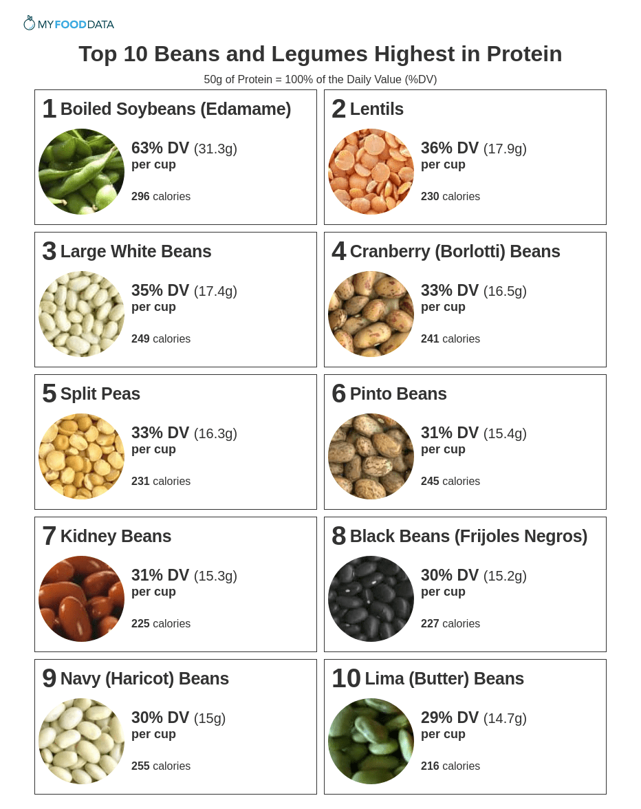 Top 10 Beans and Legumes Highest in Protein | Protein in beans, Protein ...