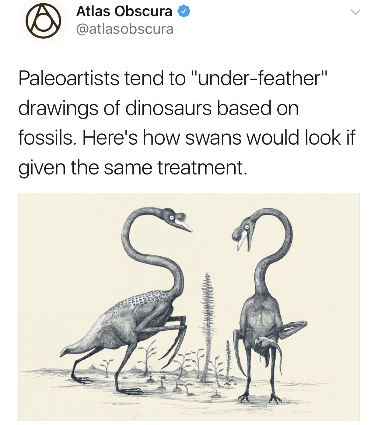 Don't under-feather your dinosaurs! | Memes, Funny quotes, Funny