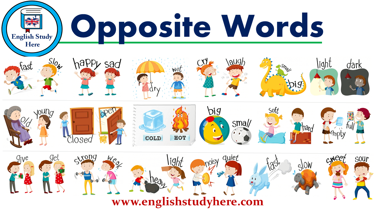 Opposite Words | Opposite words, Antonyms words list, English study