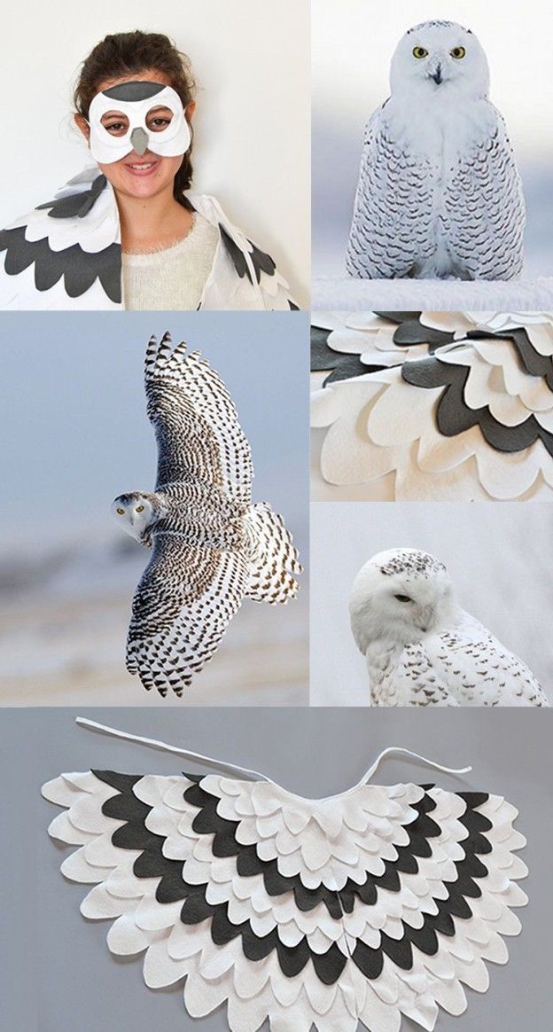 Hedwig - Harry Potter's Snowy Owl Owl Halloween Costumes, Harry Potter ...