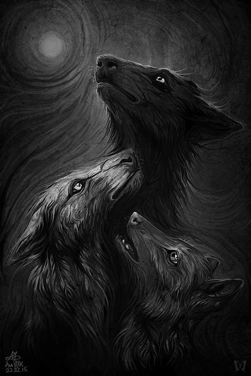 Wolf, Spirit, Wolves, Timber Wolf