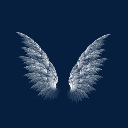 Angel Wing PNG Image and Clipart