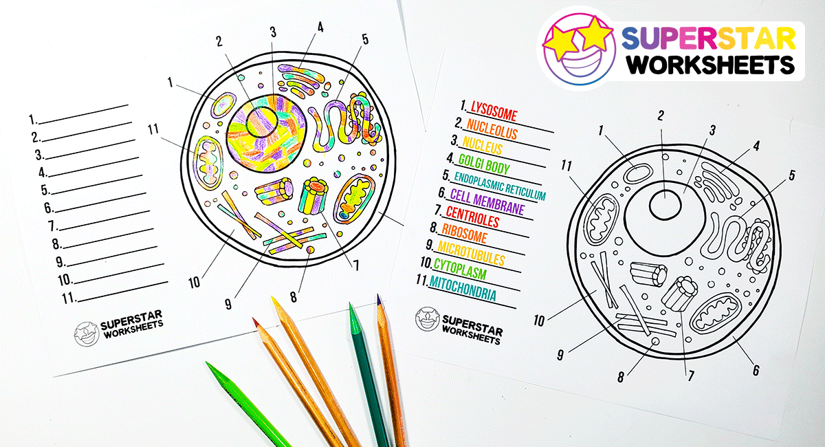 Free printable cell worksheets for coloring pages, label the cell ...