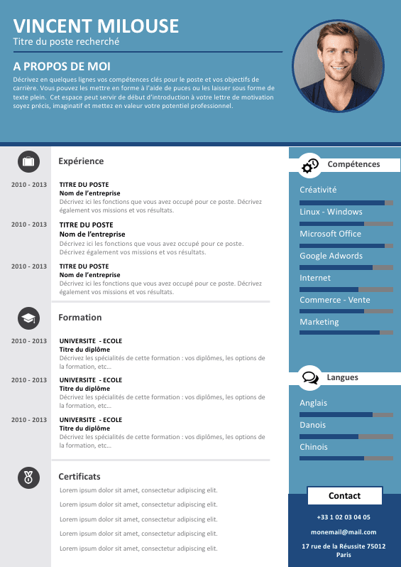 CV Professionnel gratuit | Exemple cv, Modèle cv, Exemple de cv ...