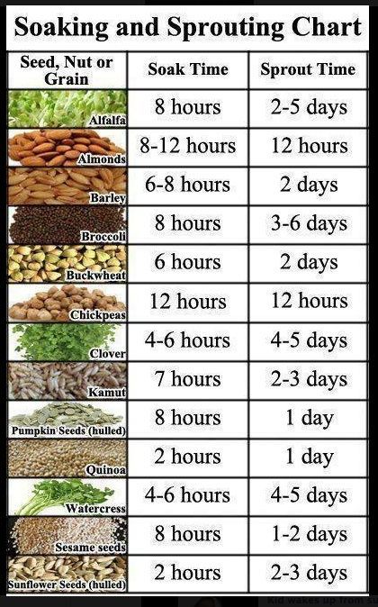 seed soaking chart | Plants, Sprouts, Growing food