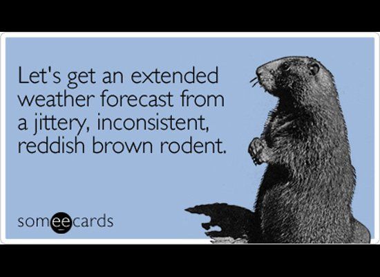 Groundhog Day Quotes