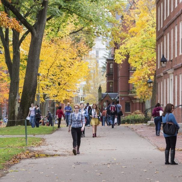 ‘Because it is Harvard, plus my parents want me to apply’ | College ...