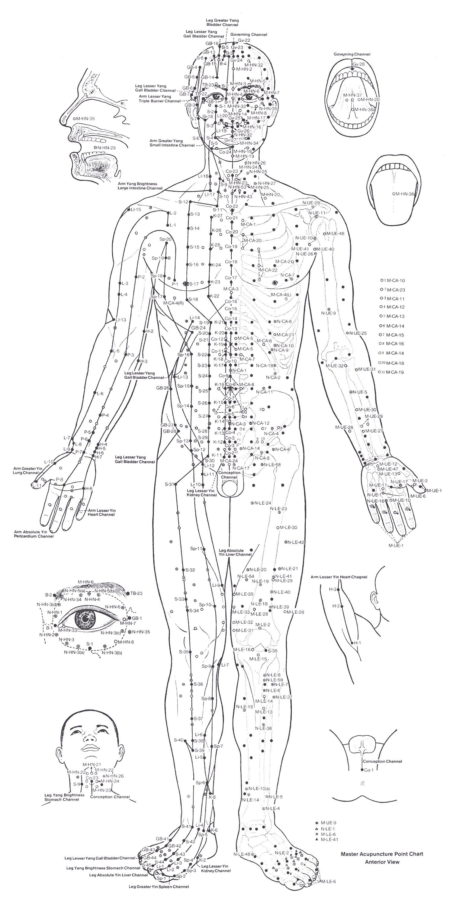 Printable Female Acupuncture Points Chart - Get Your Hands on Amazing ...