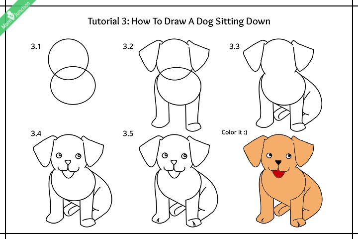 Step By Step Guide On How To Draw A Dog For Kids | Puppy drawing easy ...