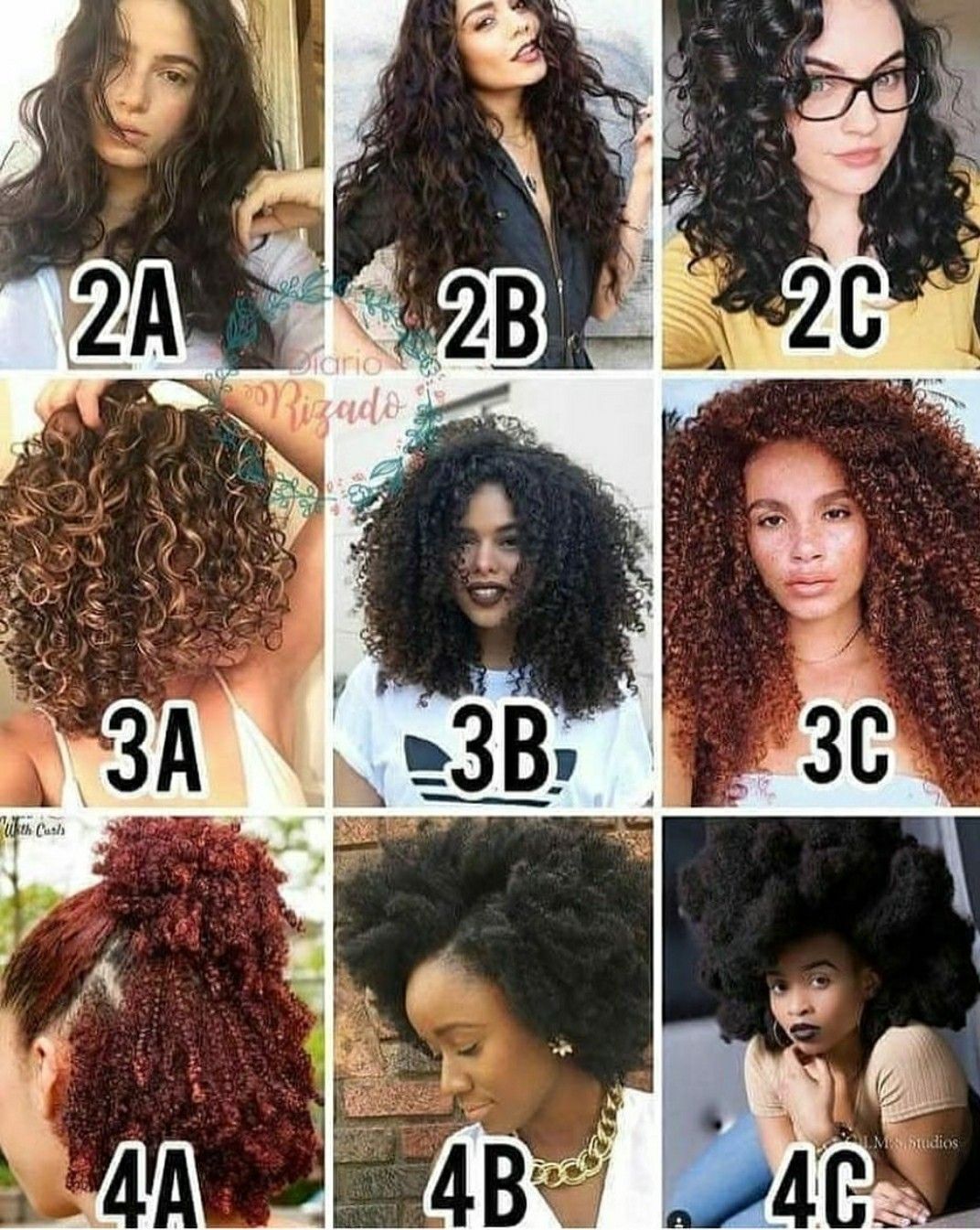 Hair type guide | Curly hair styles naturally, Natural hair types ...