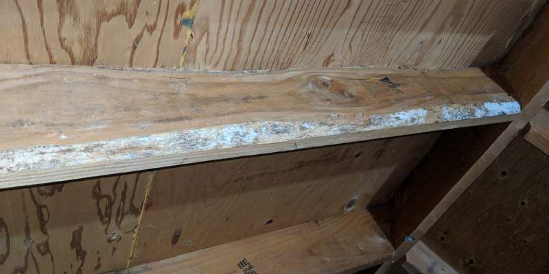 Awesome White Powdery Substance On Floor Joists And Description Wood Beams Flooring Wooden Ceilings [ 400 x 800 Pixel ]