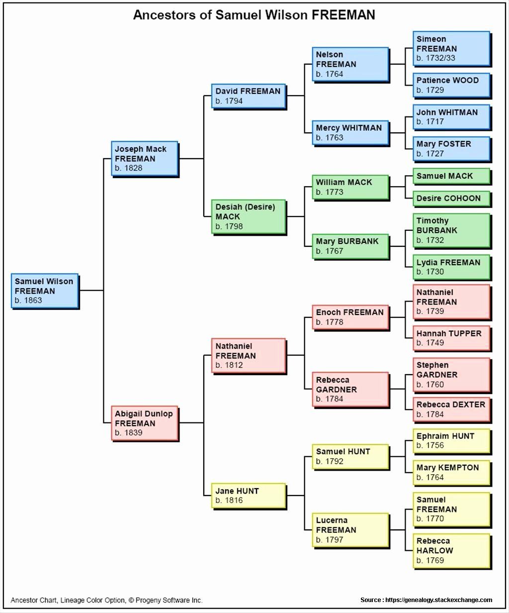 Sample Family Tree Chart Lovely Family Tree Chart Of Rizal | Family ...