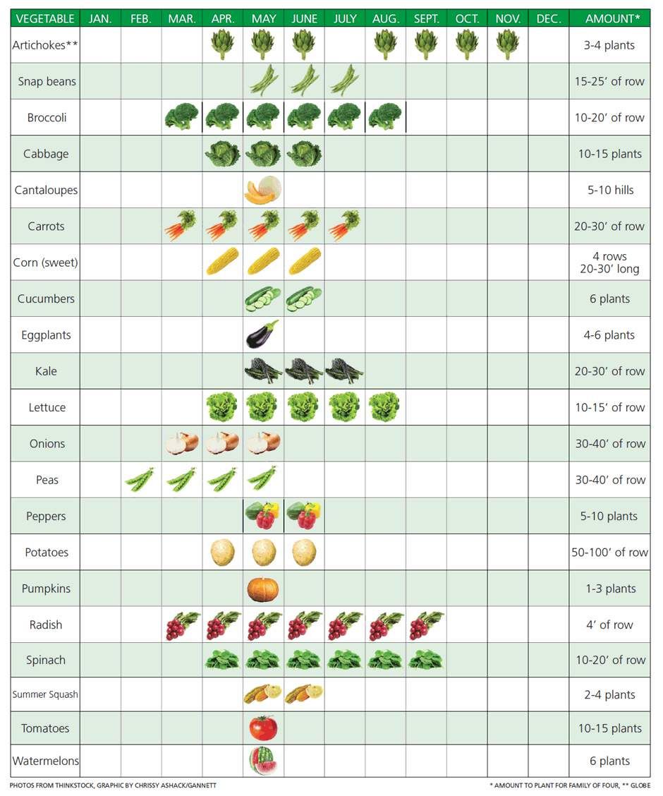 a chart with different vegetables and their names in english, spanish ...